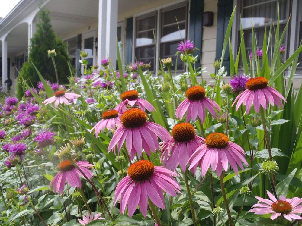 Glass House Inn Erie Near I-90 & I-79 Екстериор снимка